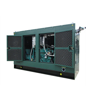 Biomass (syngas) Generator Set